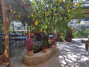Terraza o patio