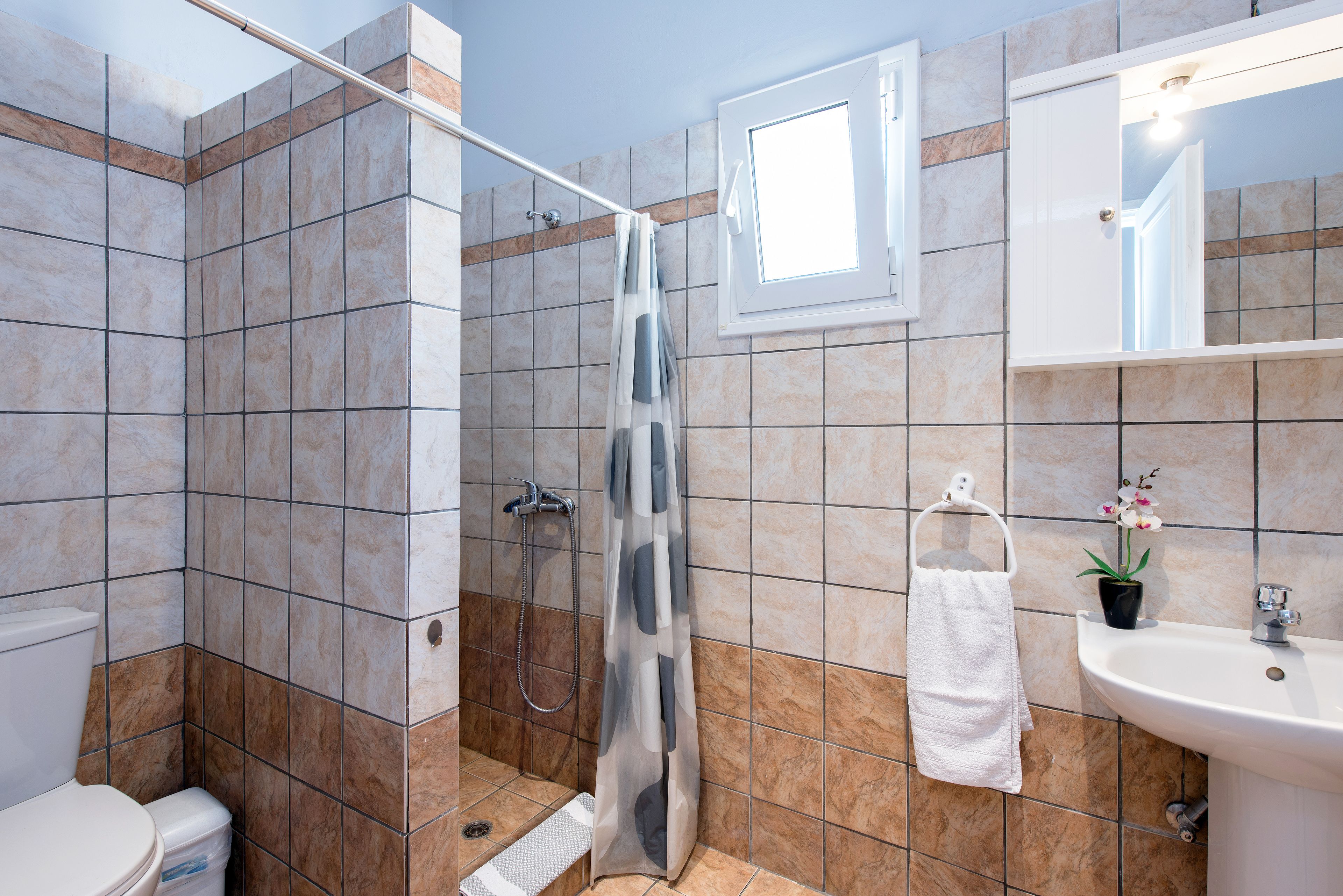 A bathroom with a shower, toilet, sink, and a potted plant.