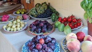 Una mesa con diversas frutas y verduras, entre ellas uvas, ciruelas, tomates y manzanas.