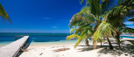 Kondominium, 2 kamar tidur, teras, pemandangan samudra | Dermaga