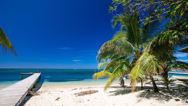 A beach with a wooden pier extending into the ocean, palm trees, and clear blue water.