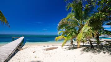 Condo, 2 Bedrooms, Terrace, Ocean View | Beach | Beach nearby