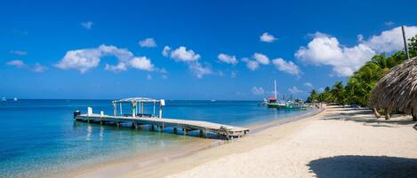 Condo, 2 Bedrooms, Ocean View | Dock