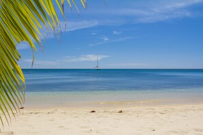 Appart'hôtel, 2 chambres, vue océan | Plage | Plage à proximité