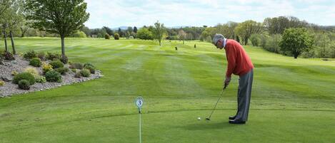 A golf course with a putting green, a flagstick, and a golfer in a red sweater.