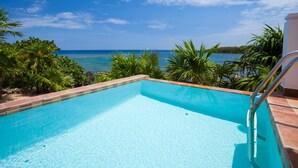 A clear blue pool with a metal ladder, surrounded by tropical plants and overlooking a calm sea under a partly cloudy sky.