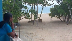 Une vue sur la plage, avec une personne appuyée sur une balustrade en pierre, des arbres et l’océan.