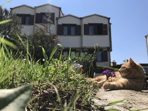 Garden - Apollon Hotel (Bozcaada)