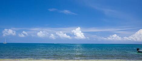 Condo, 3 Bedrooms, Terrace, Ocean View | Beach