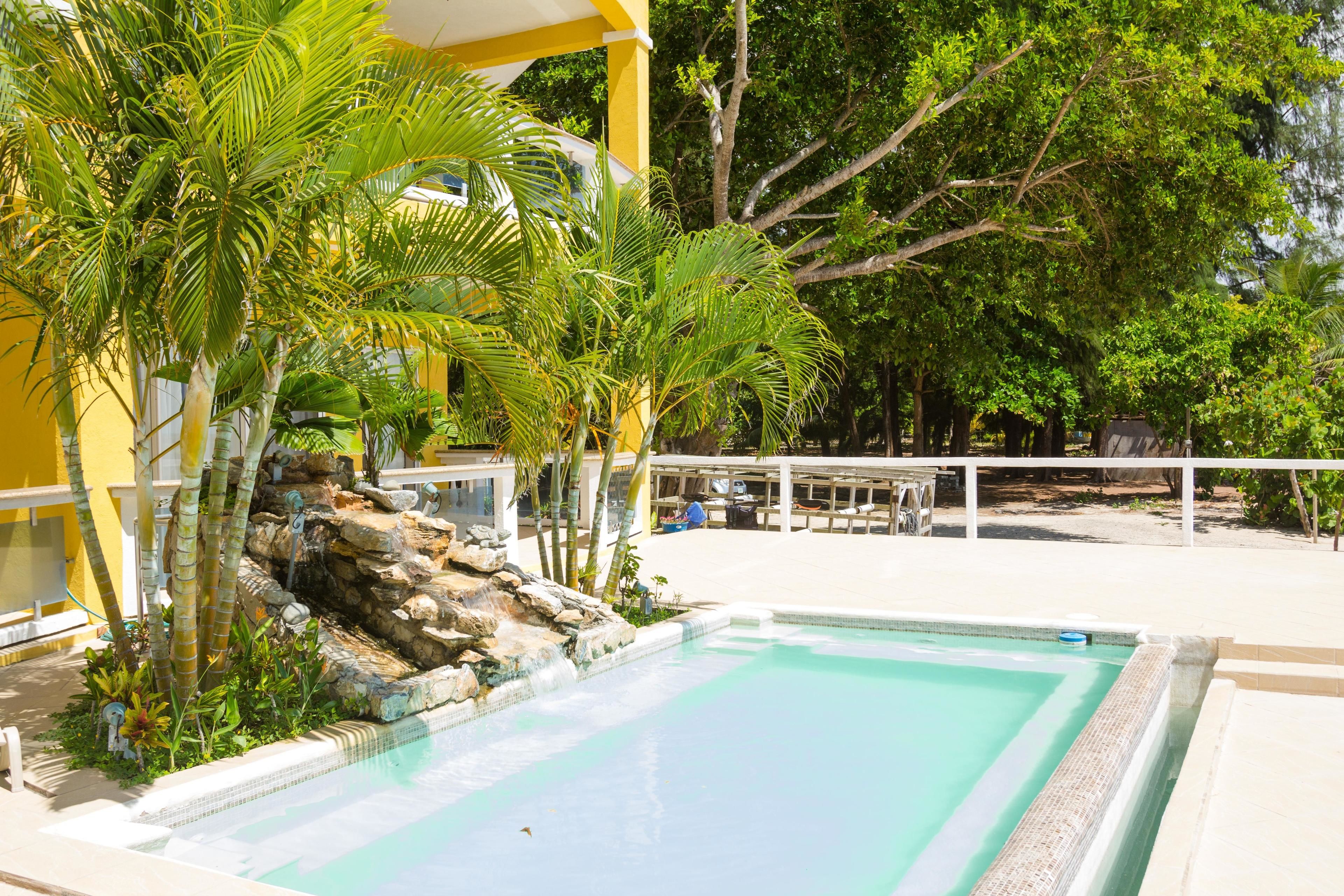 Uma área de piscina com uma piscina azul límpida, cercada por palmeiras e um edifício amarelo.