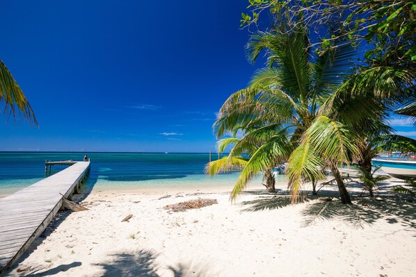 Appart'hôtel, 2 chambres, terrasse, vue océan | Plage | Plage à proximité
