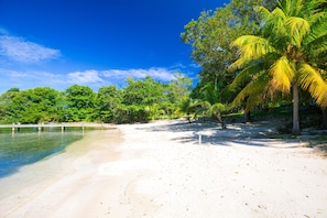 A beach with clear water, palm trees, and a stone wall.