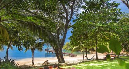 Yellow Flower House Upper