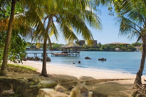 A beach with palm trees, a dock, and a thatched-roof structure.