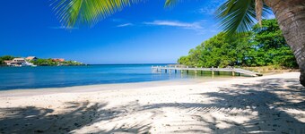 Yellow Flower House Upper