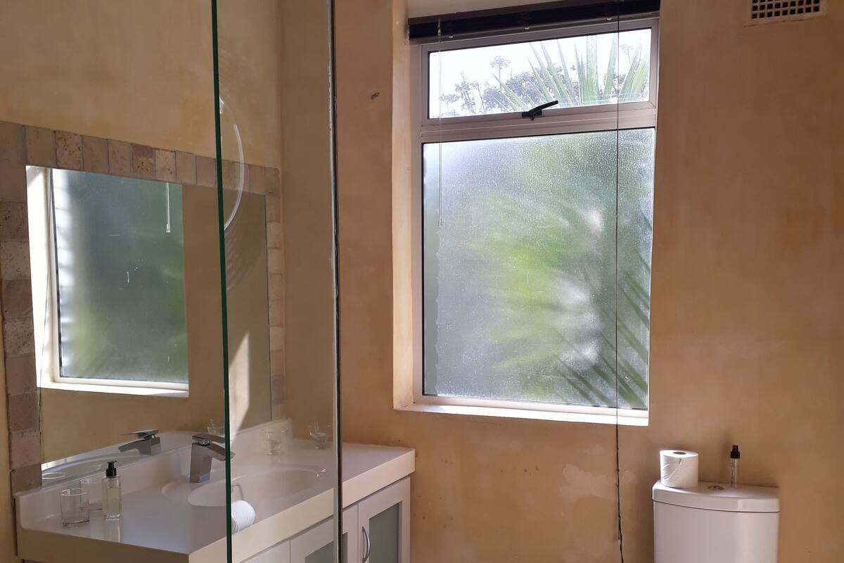 Une salle de bain dotée d’une douche à parois de verre, d’un lavabo blanc avec un miroir, de toilettes et d’une fenêtre donnant sur un espace verdoyant.