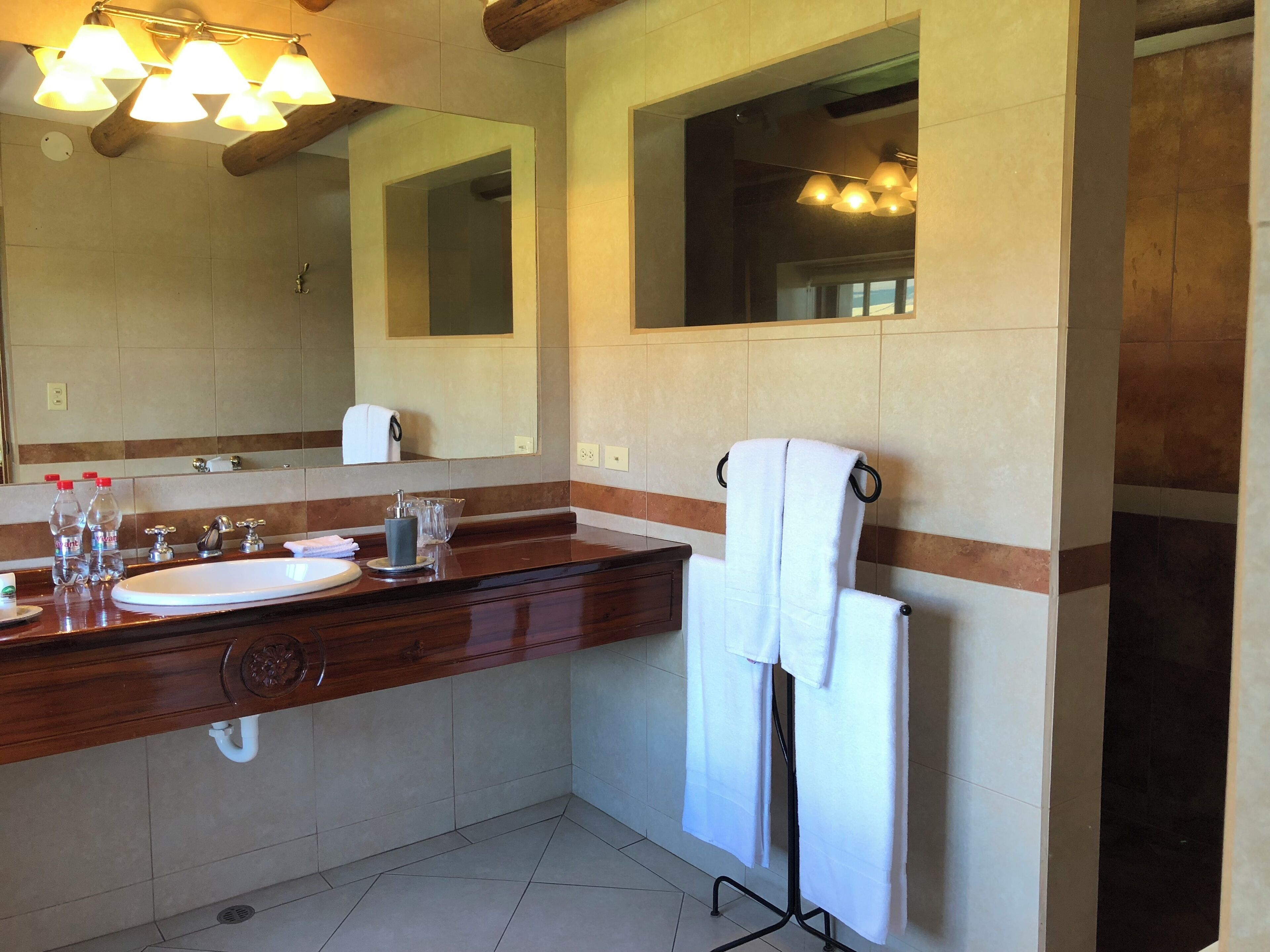 shower, free toiletries, hair dryer