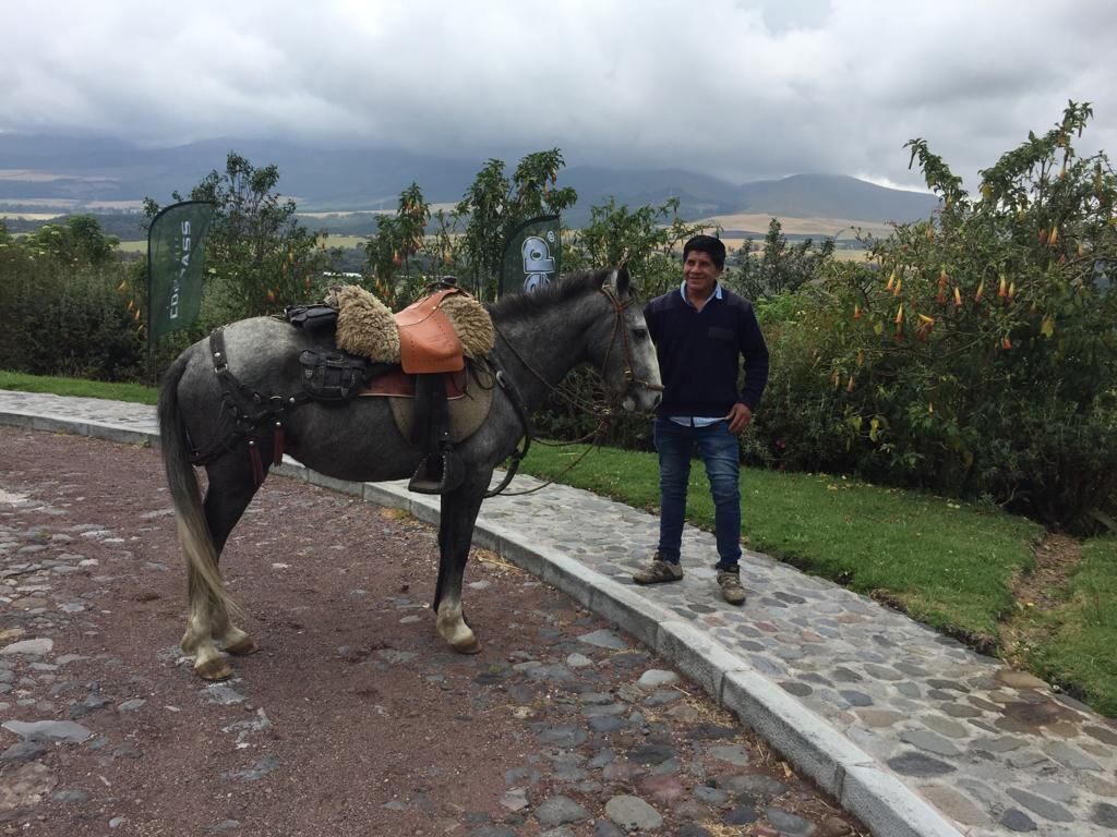 Una persona de pie junto a un caballo en un camino pavimentado, con un paisaje montañoso al fondo.