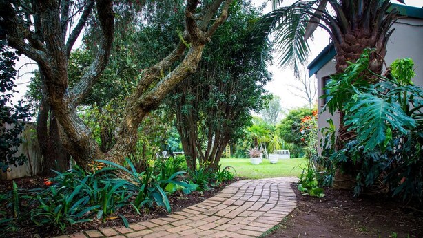 A garden pathway leading to a house with a brick border, surrounded by various trees and plants. - Sunbird Guest House (Howick)