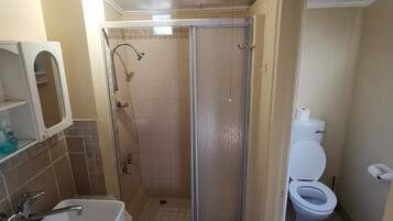 A bathroom with a shower, toilet, sink, and mirror.