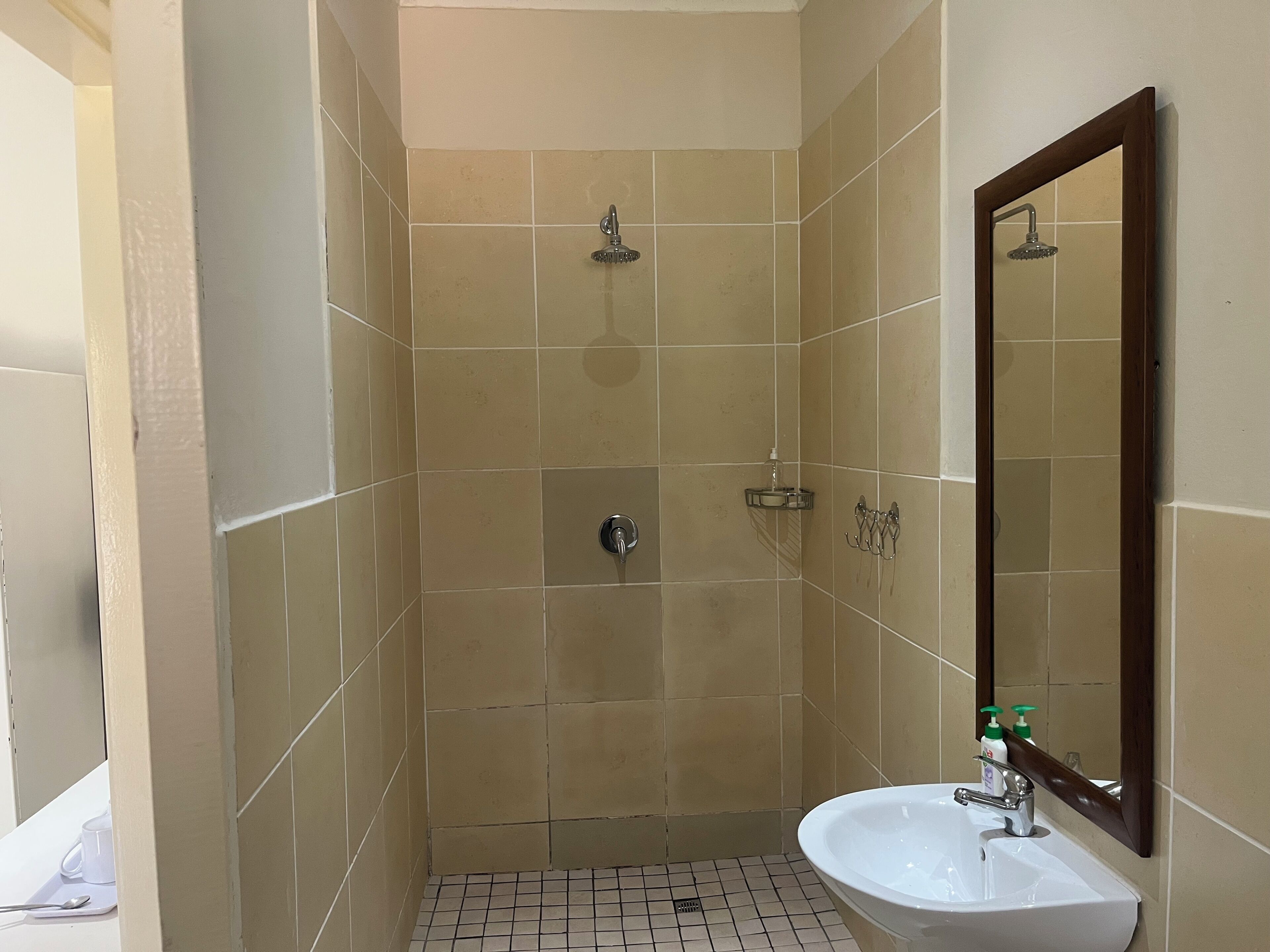 A bathroom with a shower, sink, and mirror.
