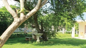 Een tuin met een boom, een vogelbad en een bankje.