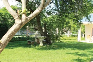 Um jardim com uma árvore, um bebedouro para pássaros e um banco.