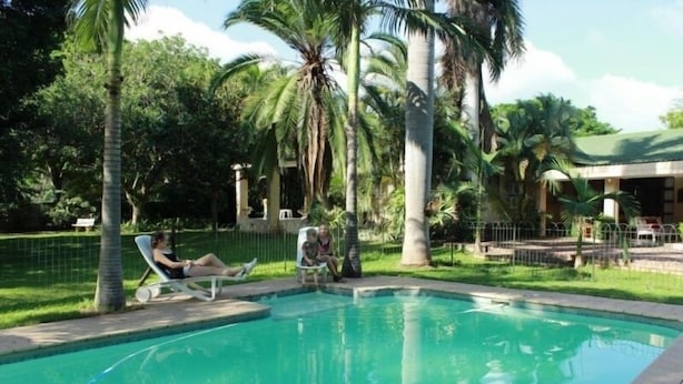 A swimming pool with lounge chairs, surrounded by palm trees and a fenced area. - The Guest House Pongola (Pongola)