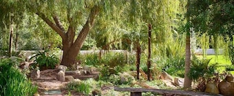 Assegaaibosch Country Lodge