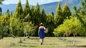 A woman walking in a garden with trees and mountains in the background. - Penelope Villas (Kefalonia)