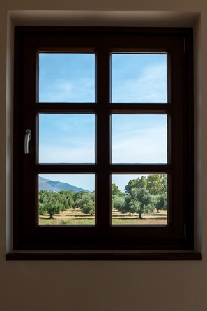 Vista des de l'allotjament