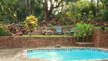 Outdoor pool, pool loungers