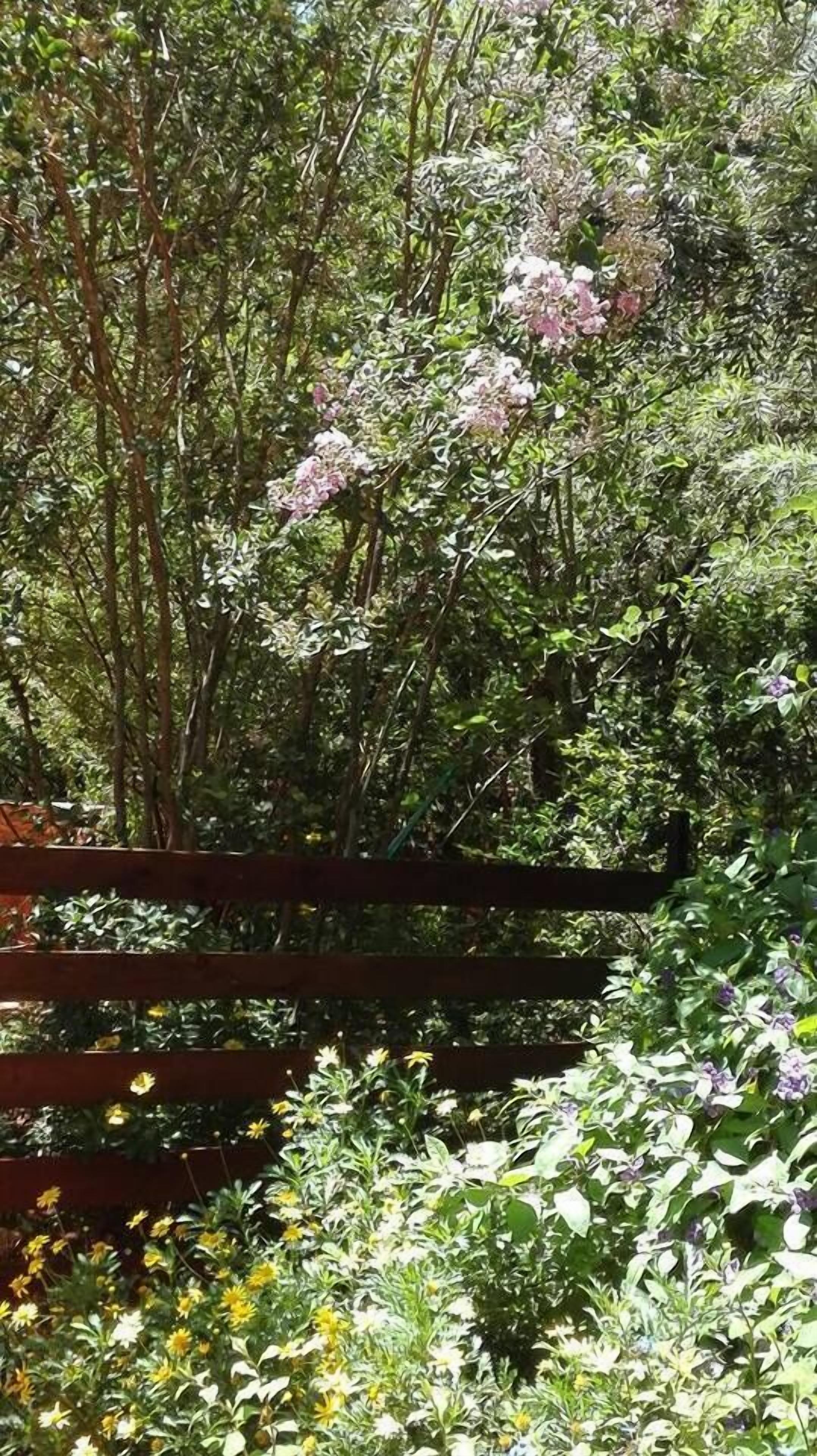 Ein Garten mit verschiedenen Pflanzen und Blumen, einem Holzzaun und einer Bank.