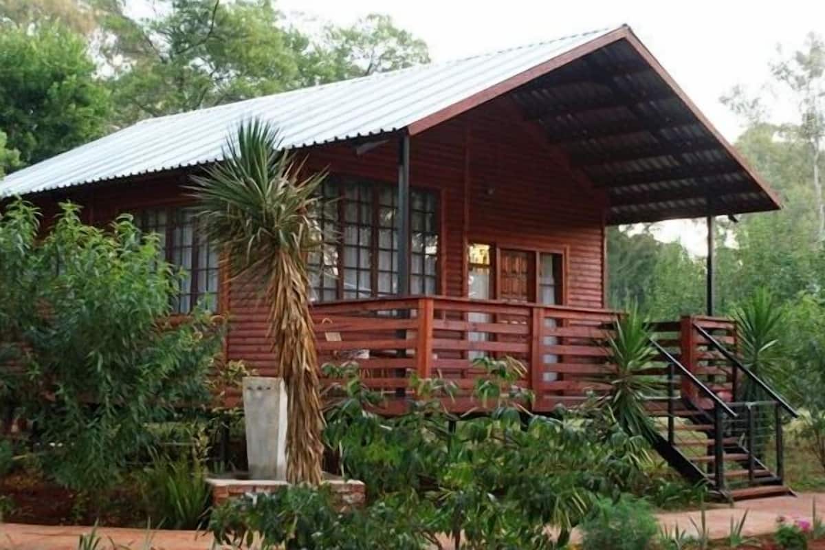 A wooden cabin with a metal roof, surrounded by lush greenery.