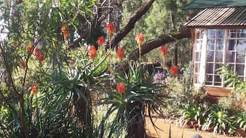 Romantic Chalet, 1 Bedroom, Non Smoking, Mountain View