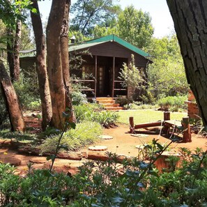 Une cabane rustique avec un toit végétalisé, entourée d’arbres et bordée d’un sentier de terre menant à un banc en bois.