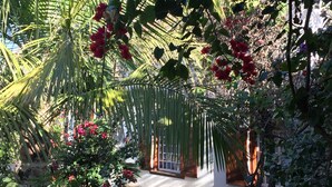 A garden with a pathway leading to a white building with a window. - Wittedrift Manor House (Tulbagh)