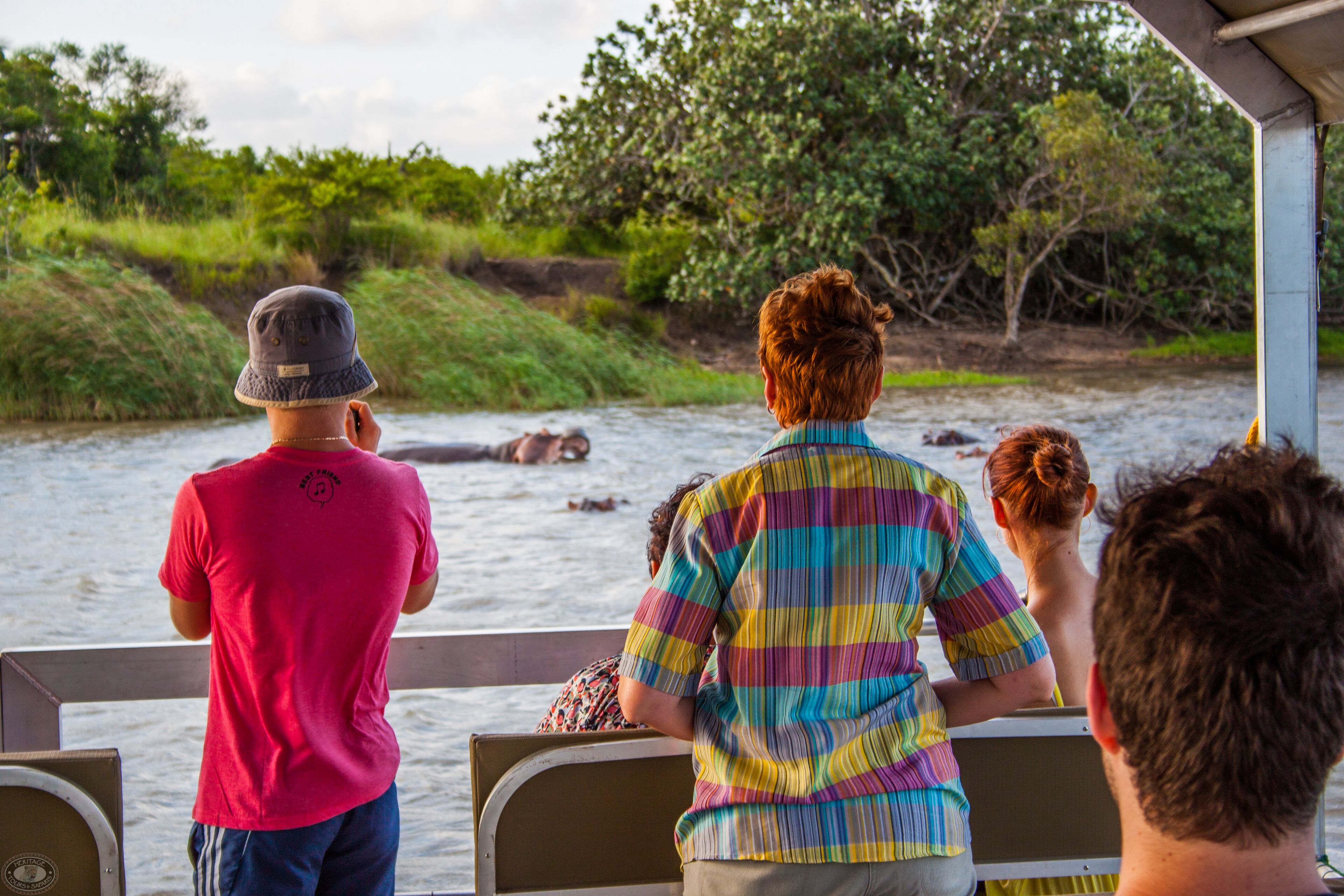 Un groupe de personnes à bord d’un bateau, observant la faune dans un environnement naturel.