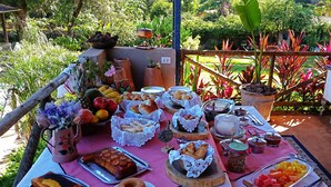 An outdoor dining table with various food items and drinks, surrounded by lush greenery.