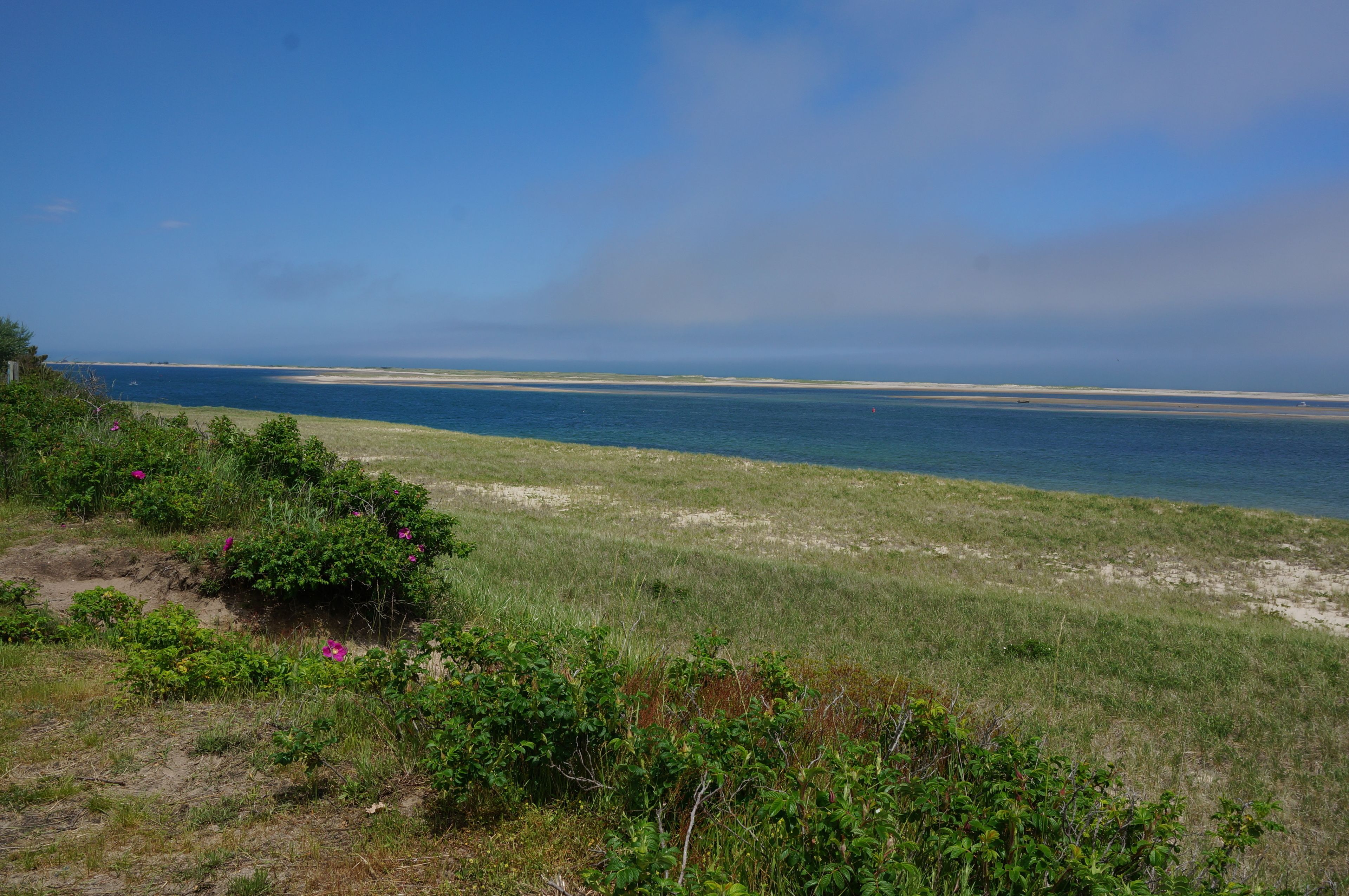 A coastal landscape with a grassy area and a view of the sea.