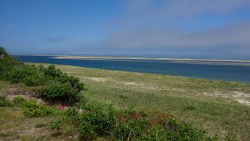 A coastal landscape with a grassy area and a view of the sea.