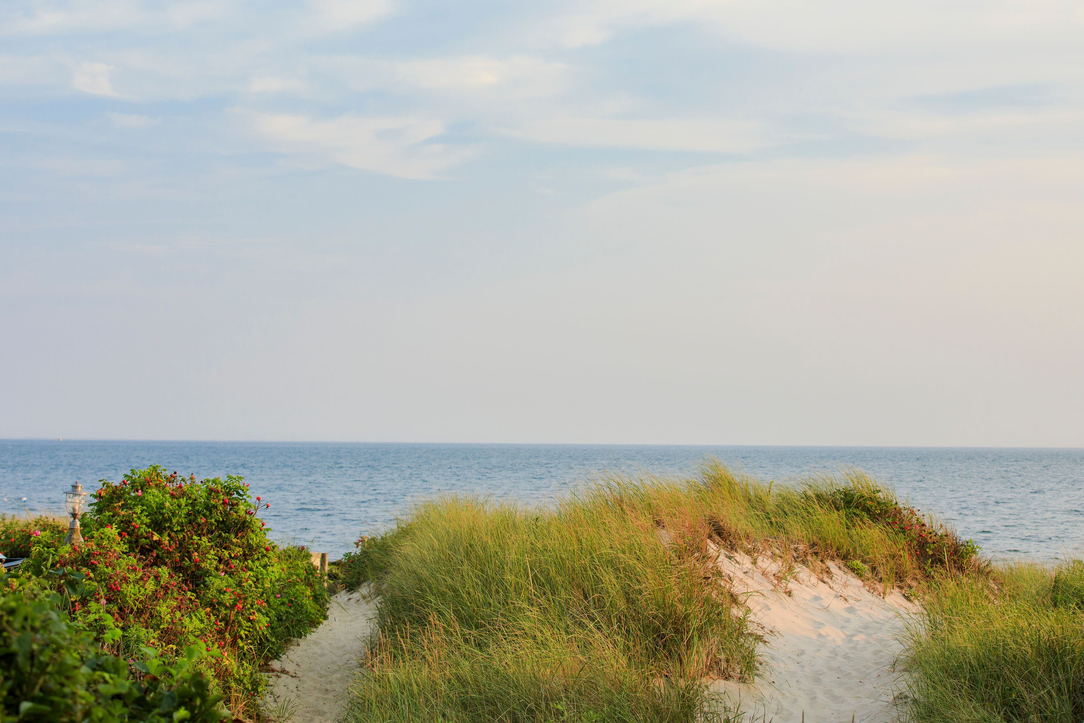 A coastal path with sand dunes and vegetation leading to the sea.