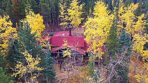 A cabin surrounded by yellow foliage, with a red roof and wooden walls, set in a forested area.