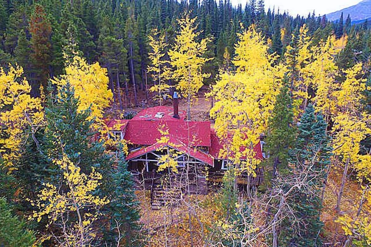 A cabin surrounded by yellow foliage, with a red roof and wooden walls, set in a forested area.