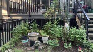 Un balcó amb jardí, mobles d'exterior i una escala.