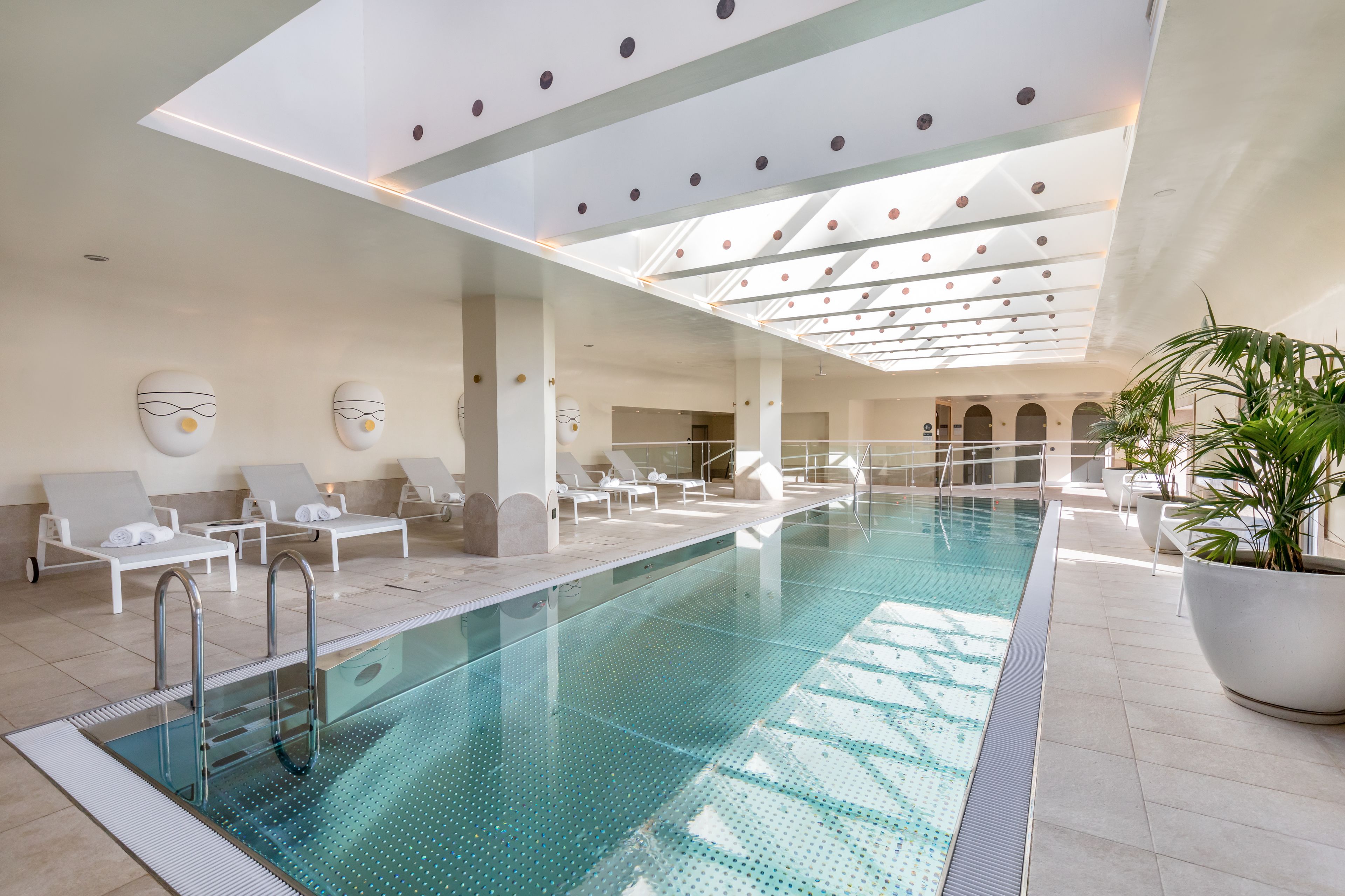 Una piscina interior moderna con sillones de descanso, techo de cristal y una planta en maceta.