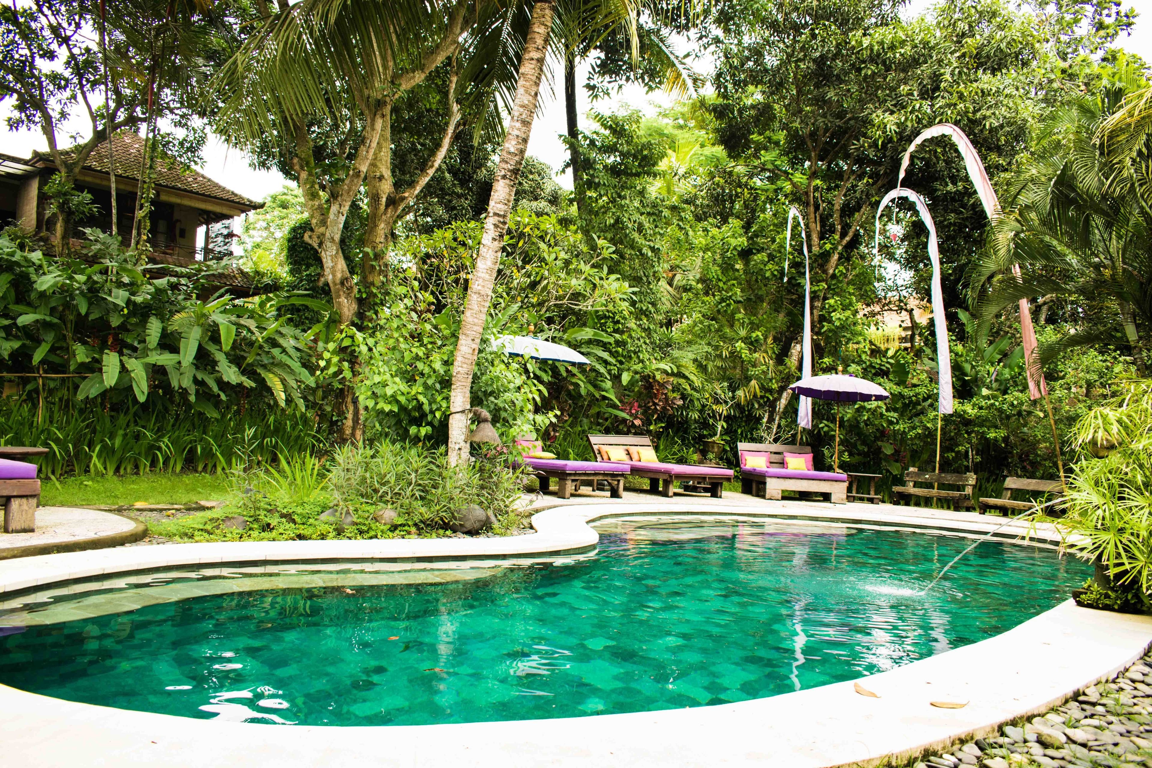 outdoor pool, pool loungers