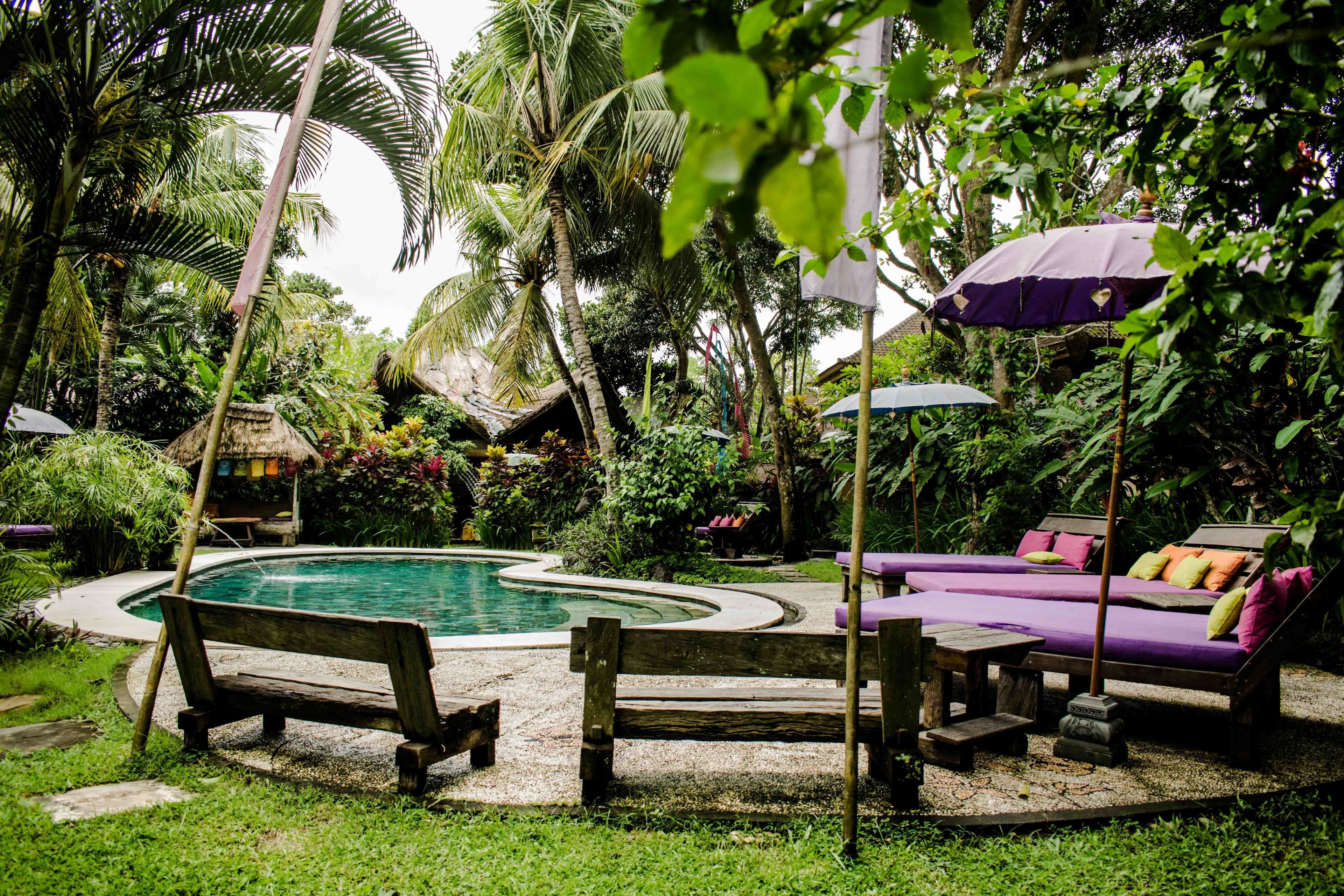 outdoor pool, pool loungers