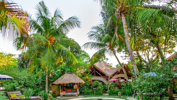 A circular pool with a stone edge, surrounded by palm trees and thatched-roof huts. - Swasti Eco Cottages (Ubud)