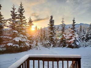 Exterior - DENALI'S ALASKAN SPRUCE CABINS (Healy)